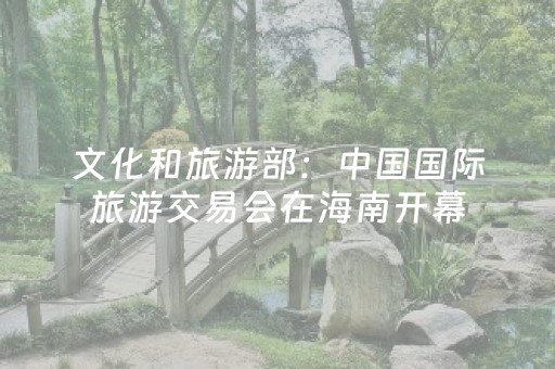文化和旅游部：中国国际旅游交易会在海南开幕