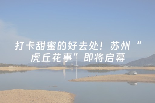 打卡甜蜜的好去处！苏州“虎丘花事”即将启幕