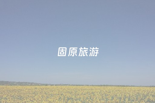 固原旅游（固原旅游团怎么联系）