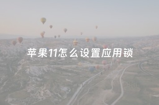 苹果11怎么设置应用锁（苹果11怎么设置应用锁屏）