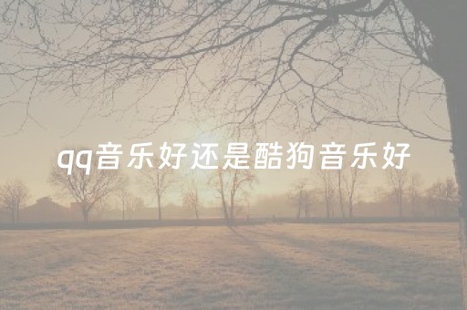 qq音乐好还是酷狗音乐好（音乐好还是酷狗音乐好听）