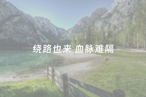 绕路也来 血脉难隔（观沧海）