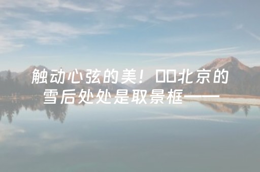 触动心弦的美！❄️北京的雪后处处是取景框——