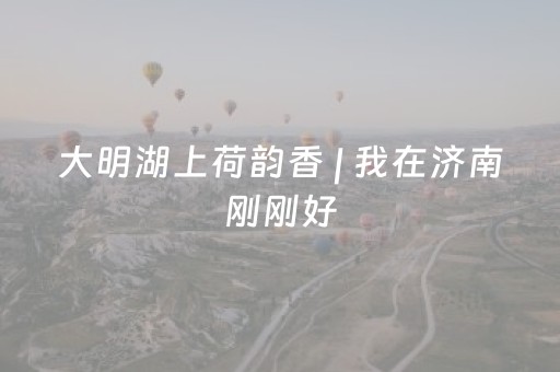 大明湖上荷韵香 | 我在济南刚刚好