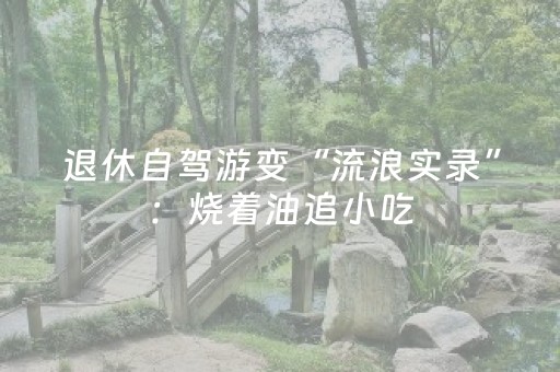 退休自驾游变“流浪实录”：烧着油追小吃，折腾出“人间烟火债”