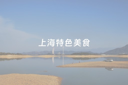 上海特色美食（上海特色美食小吃一条街）
