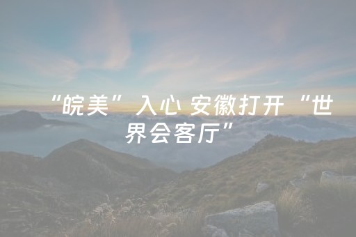 “皖美”入心 安徽打开“世界会客厅”