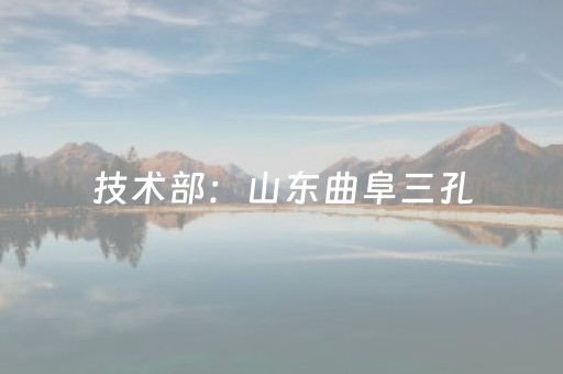 技术部：山东曲阜三孔