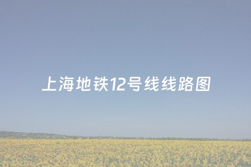 上海地铁12号线线路图（上海地铁12号线线路图延伸段）