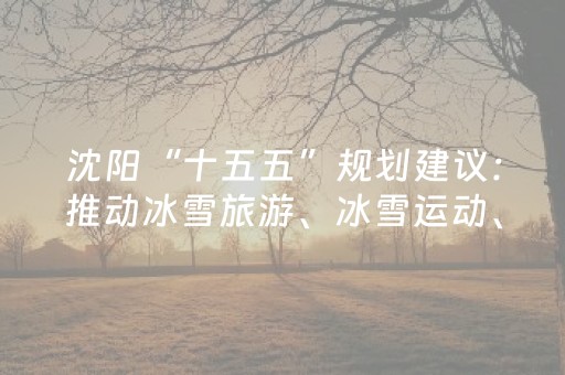 沈阳“十五五”规划建议：推动冰雪旅游、冰雪运动、冰雪文化、冰雪装备全产业链发展
