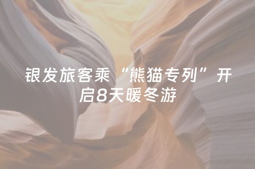 银发旅客乘“熊猫专列”开启8天暖冬游