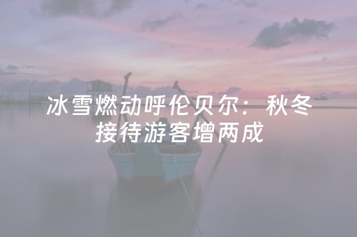 冰雪燃动呼伦贝尔：秋冬接待游客增两成，“冷资源”释放热力