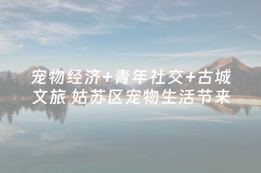 宠物经济+青年社交+古城文旅 姑苏区宠物生活节来了