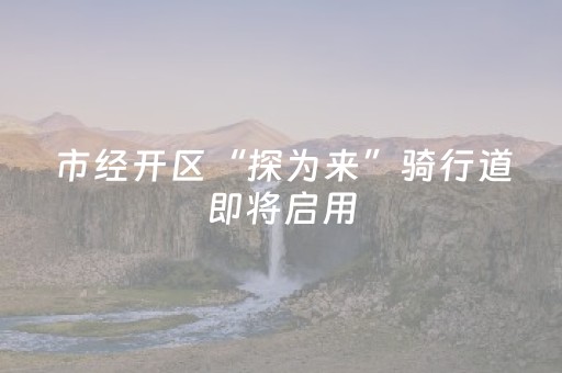 市经开区“探为来”骑行道即将启用