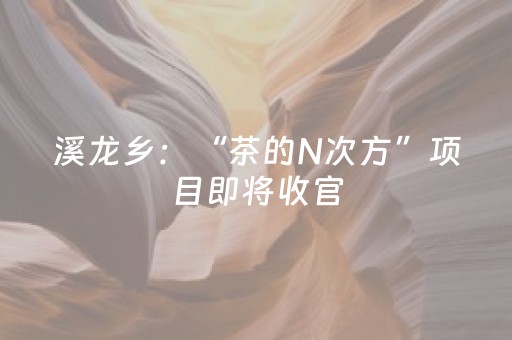 溪龙乡：“茶的N次方”项目即将收官