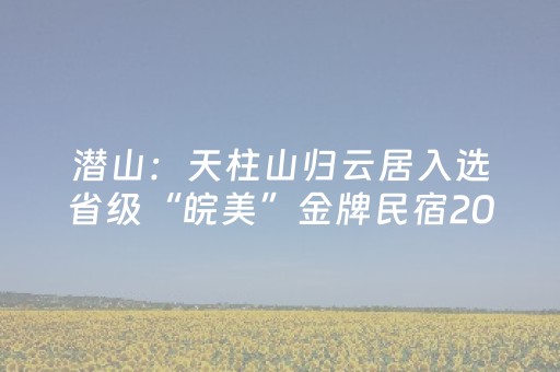 潜山：天柱山归云居入选省级“皖美”金牌民宿20强​