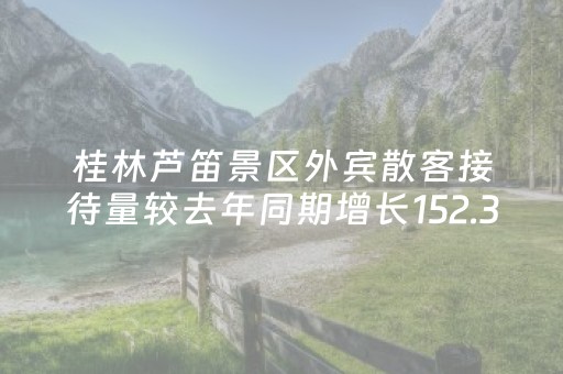 桂林芦笛景区外宾散客接待量较去年同期增长152.32%