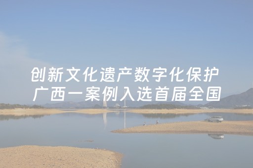 创新文化遗产数字化保护 广西一案例入选首届全国“文保尖兵”案例