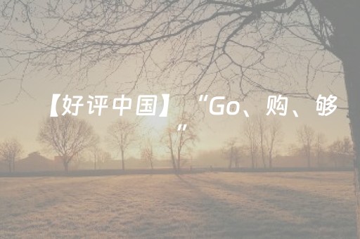 【好评中国】“Go、购、够”，“China Travel”展现更加立体中国形象