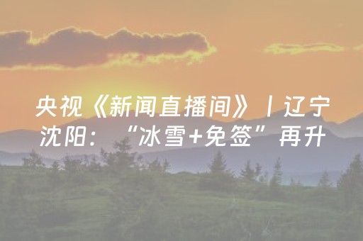 央视《新闻直播间》丨辽宁沈阳：“冰雪+免签”再升级 冷冰雪成热邀约