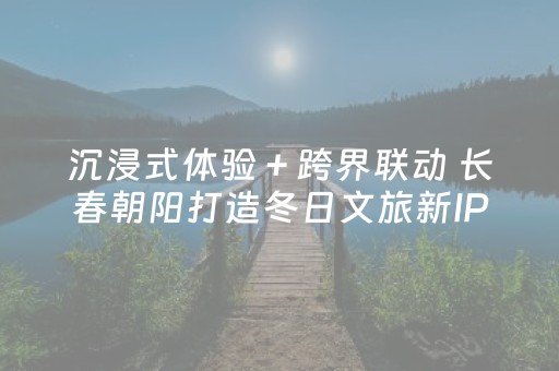 沉浸式体验＋跨界联动 长春朝阳打造冬日文旅新IP