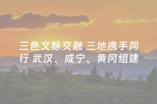 三色文脉交融 三地携手同行 武汉、咸宁、黄冈组建“赤黄红”旅游联盟