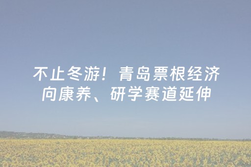 不止冬游！青岛票根经济向康养、研学赛道延伸