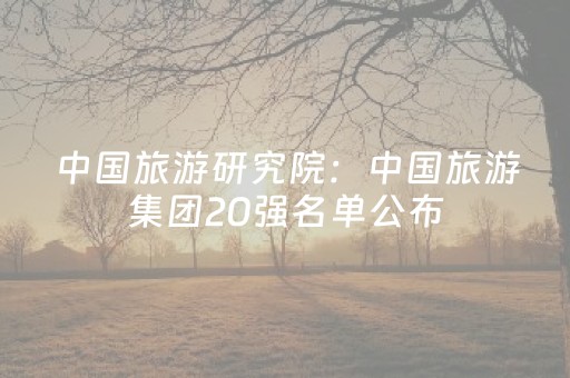 中国旅游研究院：中国旅游集团20强名单公布