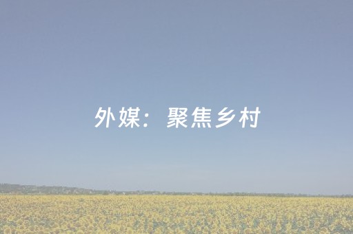 外媒：聚焦乡村，中国兴起“反向旅游”热
