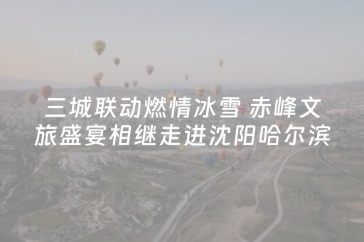 三城联动燃情冰雪 赤峰文旅盛宴相继走进沈阳哈尔滨北京