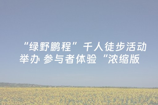 “绿野鹏程”千人徒步活动举办 参与者体验“浓缩版山海画卷”