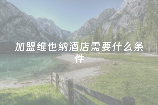 加盟维也纳酒店需要什么条件（加盟维也纳酒店能赚钱吗）