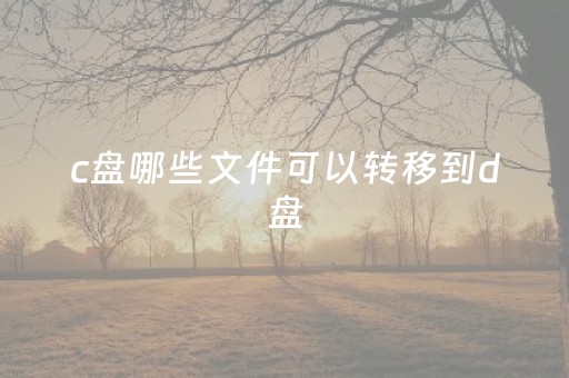 c盘哪些文件可以转移到d盘（c盘哪些文件可以移到其他盘）