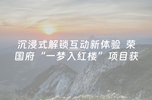 沉浸式解锁互动新体验  荣国府“一梦入红楼”项目获奖