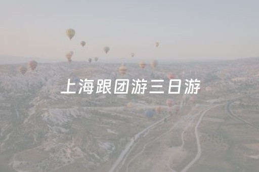 上海跟团游三日游（上海跟团旅游）