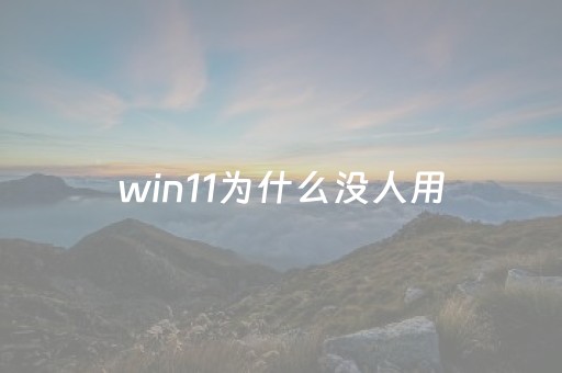 win11为什么没人用（win11为什么要求这么高）