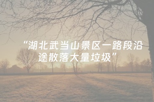 “湖北武当山景区一路段沿途散落大量垃圾”，景区回应：保洁员不满调岗抛撒垃圾，已清理