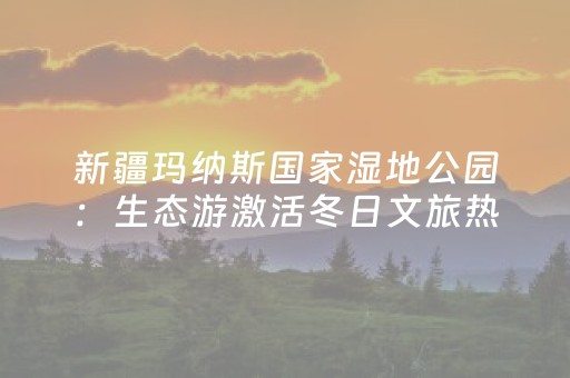 新疆玛纳斯国家湿地公园：生态游激活冬日文旅热