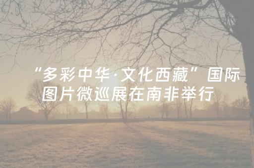 “多彩中华·文化西藏”国际图片微巡展在南非举行