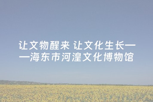 让文物醒来 让文化生长——海东市河湟文化博物馆2025年工作综述