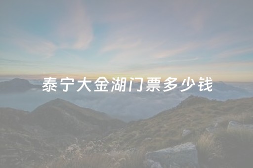 泰宁大金湖门票多少钱（泰宁大金湖游玩攻略）