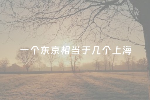 一个东京相当于几个上海（东京有几个上海那么大）