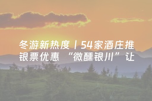 冬游新热度丨54家酒庄推银票优惠 “微醺银川”让冬日消费更有“味”