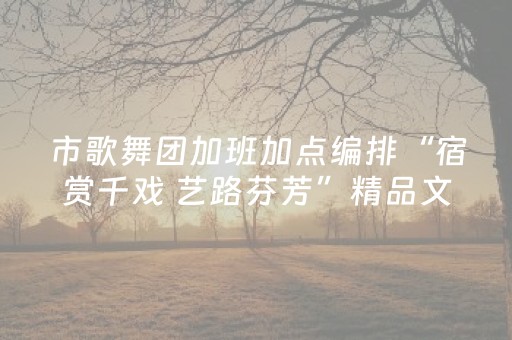 市歌舞团加班加点编排“宿赏千戏 艺路芬芳”精品文艺进景区巡演节目