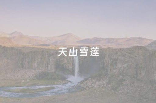 天山雪莲（天山雪莲果的正确吃法）