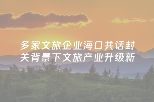 多家文旅企业海口共话封关背景下文旅产业升级新路径