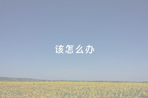 该怎么办（该怎么办歌曲任素汐歌词）