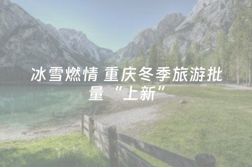 冰雪燃情 重庆冬季旅游批量“上新”