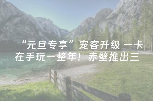 “元旦专享”宠客升级 一卡在手玩一整年！赤壁推出三重好礼诚邀广大游客喝茶听歌看烟花