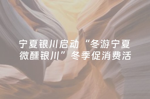 宁夏银川启动“冬游宁夏 微醺银川”冬季促消费活动